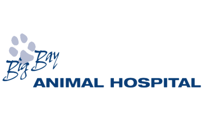Big Bay Animal Hospital-HeaderLogo